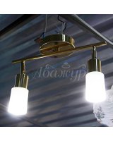 Люстра с плафоном 33888/3 C FGD+WT